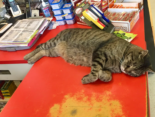 Home Improvement Store «Southfork Hardware - Grantsville», reviews and photos, 40 Commercial Avenue, Grantsville, UT 84029, USA