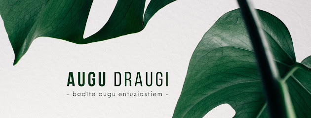 Iekštelpu apzaļumošanas pakalpojumi
