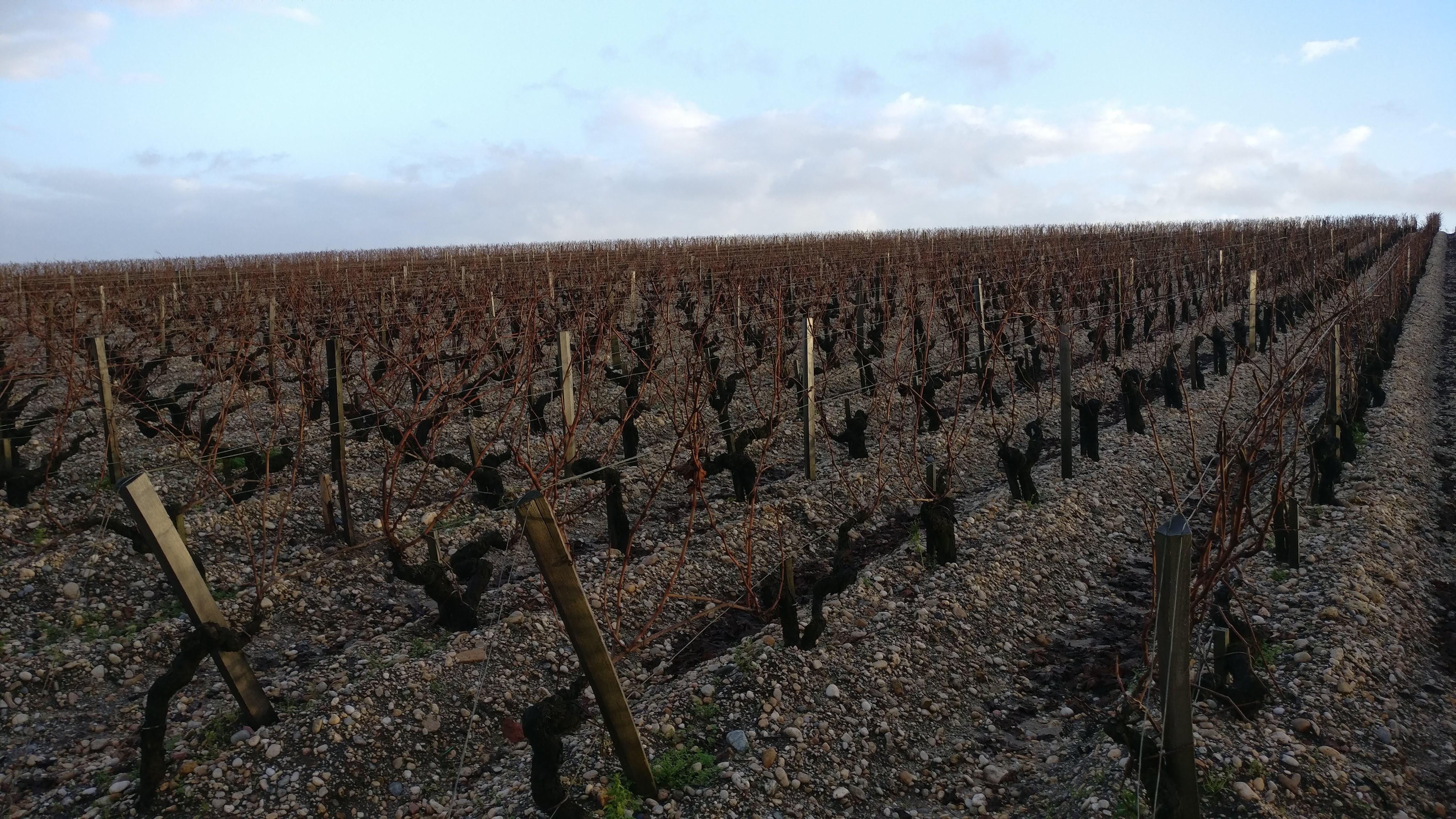 Photo n° 4 de l'avis de peter.r fait le 15/12/2017 à 09:01