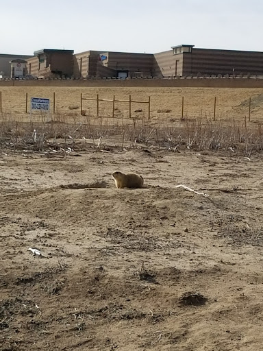 Park «Red-tailed Hawk Park», reviews and photos, 23701 E Hinsdale Way, Aurora, CO 80016, USA