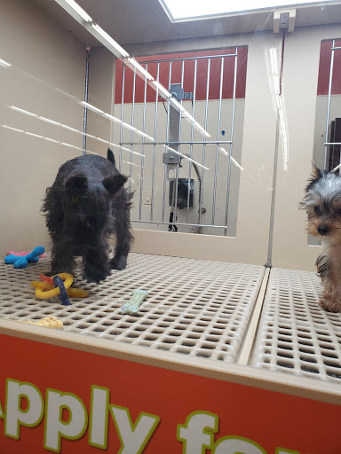 Petland Largo