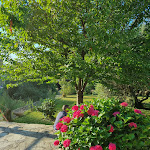 Photo n°8 de l'avis de siriphoum.e fait le 17/07/2022 à 05:27 sur le  La Via Del Sale à Pignone