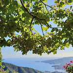 Photo n°7 de l'avis de Michelle.u fait le 28/08/2018 à 07:33 sur le  Hotel Bar Ristorante Montallegro à Rapallo