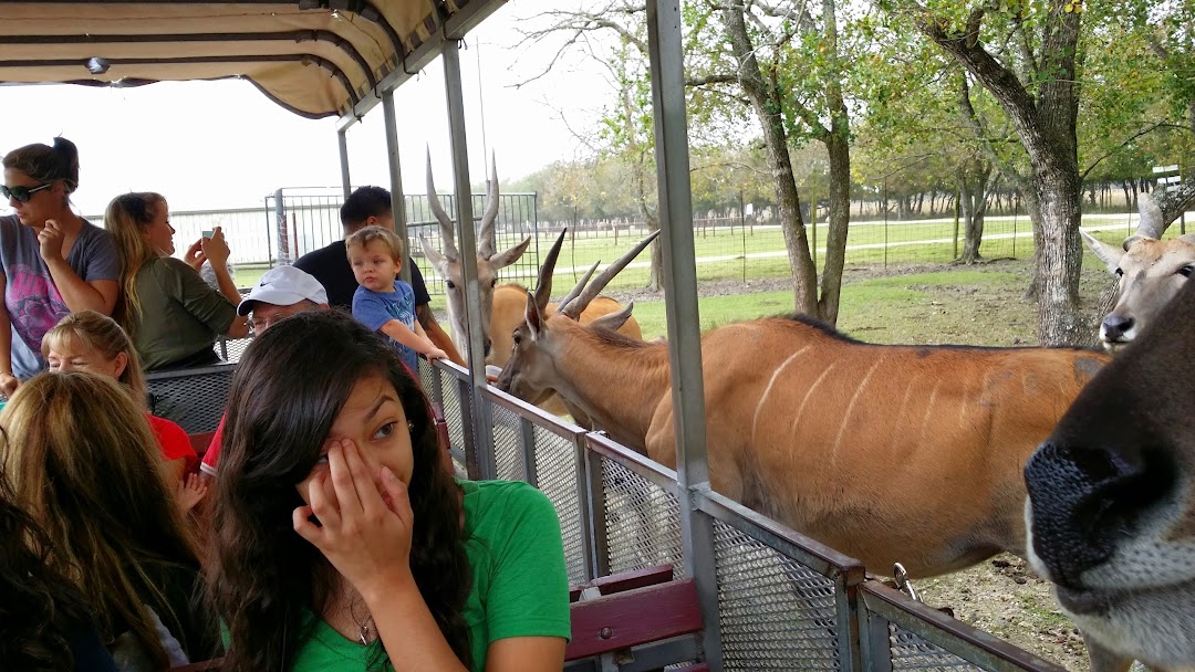 Bayou Wildlife Zoo