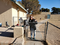 Barker Haus Kennels - Photo 7 - Car repair in El Paso, TX, El Paso