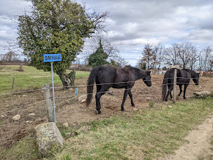 Photo n°10 de Ranch de la Ferme de Vourles à Vourles ()
