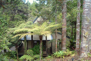 A Chalet In The Ferns