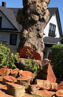 Solorio's Landscape LLC - Photo 3 - Car repair in Vancouver, WA, Vancouver