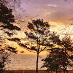 Photo n°2 de l'avis de Friederike.u fait le 18/02/2024 à 21:46 sur le  Strandhotel Lindequist à Sellin