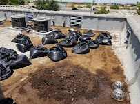 Professional Pigeon Control, LLC - Photo 8 - Car repair in , Phoenix