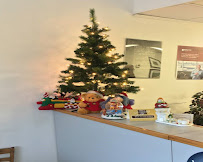 The SIG Insurance Agencies - Photo 5 - Car repair in Fairfield, CT, Bridgeport