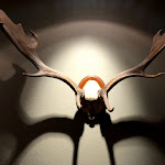 Photo n°12 de l'avis de Peter. fait le 27/10/2019 à 17:55 sur le  Hotel Jagdschloss Kranichstein à Darmstadt