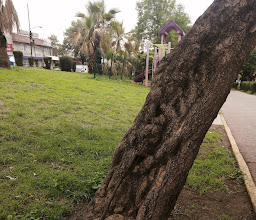 Camellon Av. Aztecas Park photo