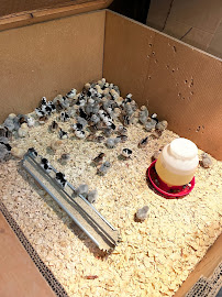 Route 300 Pets & Supplies - Photo 4 - Car repair in Smyrna, DE, Dover