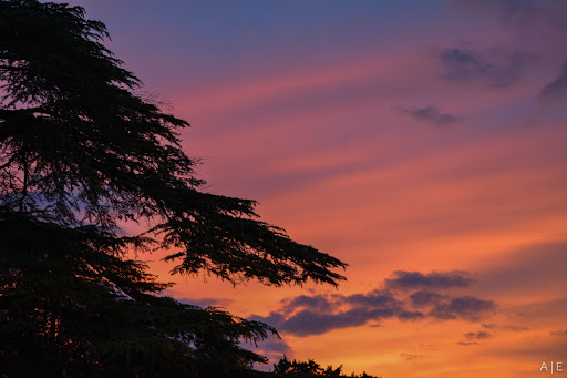 Performing Arts Theater «The Playhouse San Antonio», reviews and photos, 800 W Ashby Pl, San Antonio, TX 78212, USA