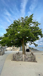 Photo n°21 de Café de la Corniche à La Rochelle ()