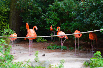 Illuminated Arts - Photo 5 - Car repair in Wyoming, DE, Dover