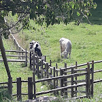 Photo n°5 de l'avis de Gaia.r fait le 09/08/2020 à 05:21 sur le  Malga Cislon à Truden im Naturpark