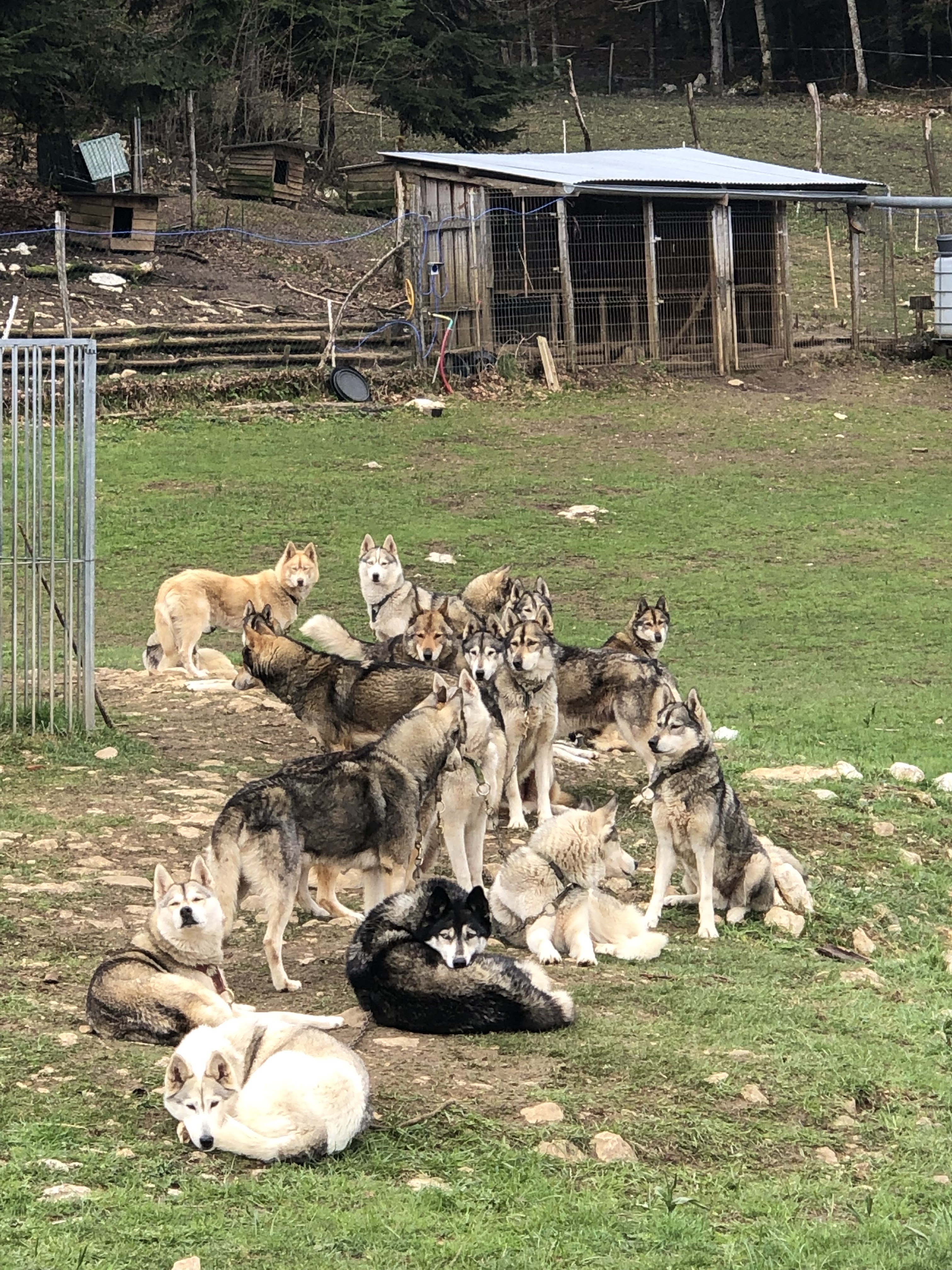 Photo n° 1 de l'avis de Tatiana.e fait le 04/05/2019 à 12:01
