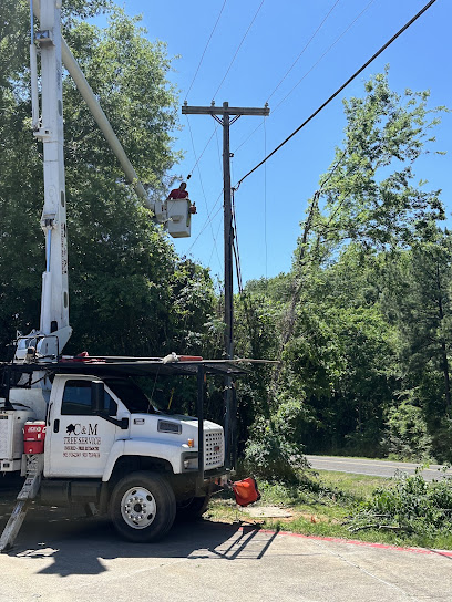 C & M Tree Service
