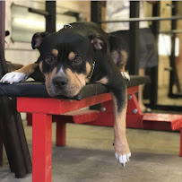 Central Valley Performance and Recovery - Photo 8 - Car repair in Manteca, CA, Modesto