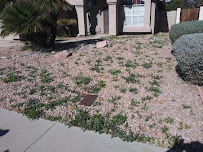 Ricardo Sanchez Turf, Landscaping, and Tree Removal - Photo 3 - Car repair in , Mesa