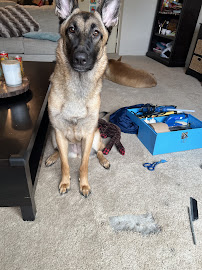 IE Carpet Repair and Cleaning - Photo 4 - Car repair in , Moreno Valley