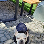 Photo n°1 de l'avis de Valentina.i fait le 10/08/2023 à 20:32 sur le  Ristorante Baita Alpina à Bedollo