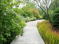 Kojis Chiropractic PS - Photo 5 - Car repair in Vancouver, WA, Vancouver