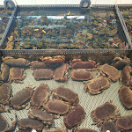 Photo n°4 de l'avis de Anastasiia.a fait le 14/08/2019 à 16:54 sur le  Onda Blu à Syracuse