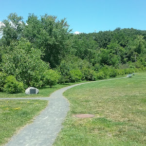 Community Field - review photo