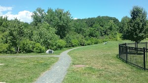Community Field - photo 88