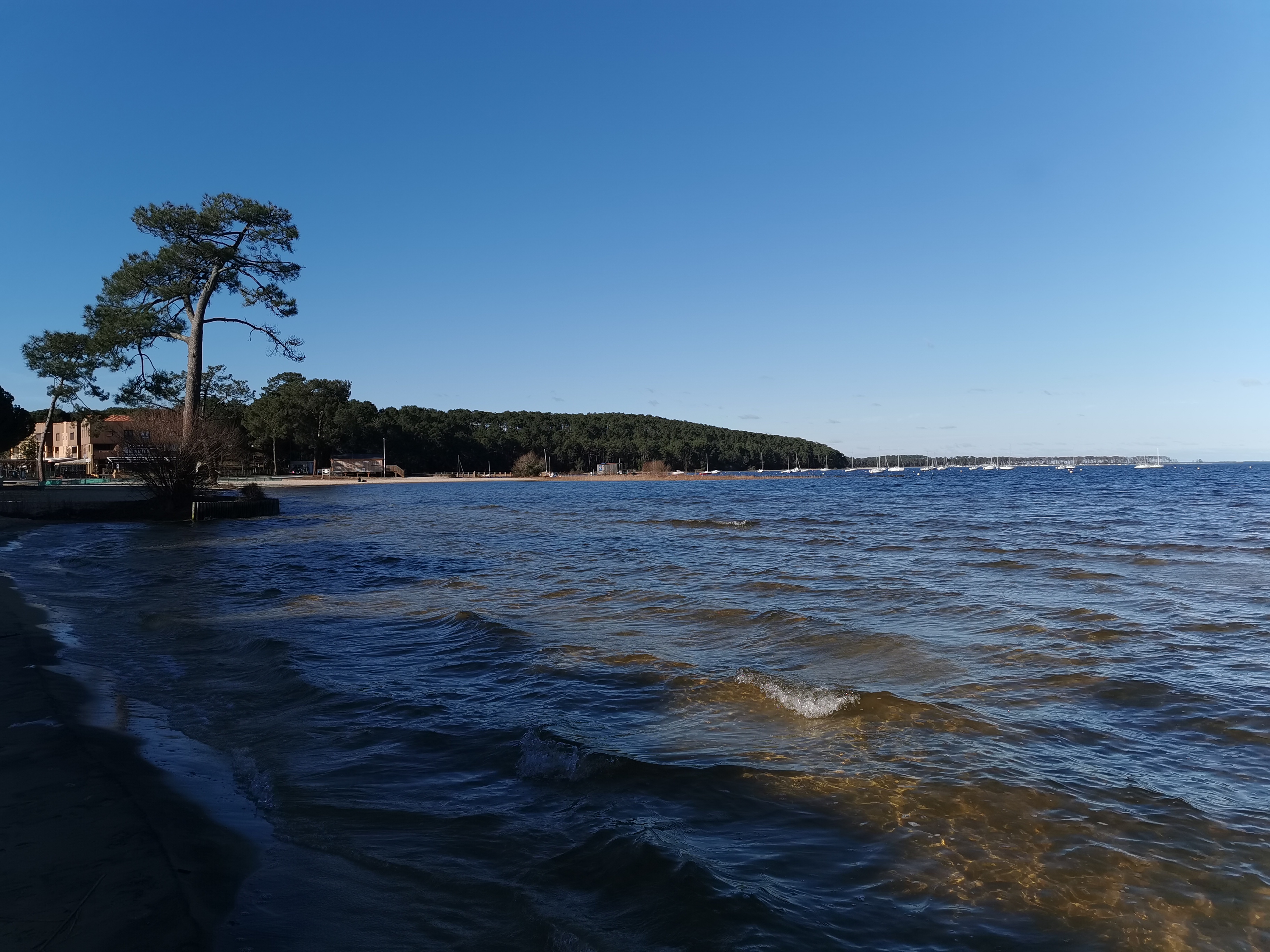 Photo n° 6 de l'avis de Sandrine.e fait le 05/02/2023 à 19:47