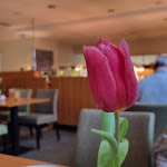 Photo n°3 de l'avis de Mehdi.o fait le 20/02/2023 à 20:45 sur le  Seminaris Hotel Avendi Potsdam à Potsdam