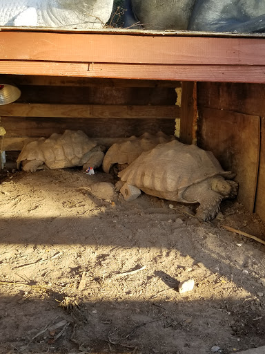 Pet Store «Fish-N-Pets Unlimited», reviews and photos, 11710 Bissonnet St, Houston, TX 77099, USA