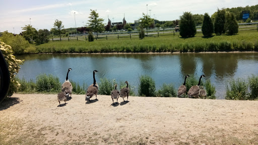 Craft Store «A.C. Moore Arts and Crafts», reviews and photos, 141 Tuckahoe Rd #160, Sewell, NJ 08080, USA