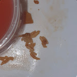 Photo n°1 de l'avis de Crazy.a fait le 14/12/2022 à 23:23 sur le  Shanghaiwok Chinaimbiss à Baunatal