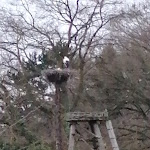 Photo n°10 de l'avis de sylviahartmut. fait le 04/04/2022 à 14:17 sur le  Schweizerlust GmbH à Liebenau