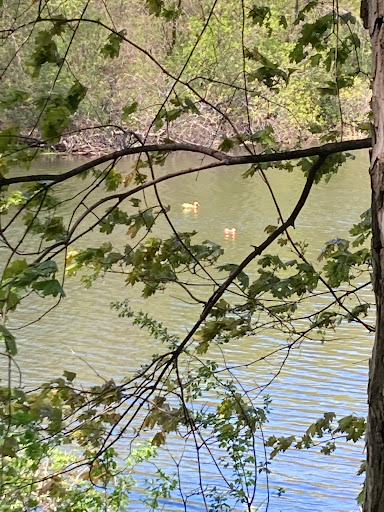 Nature Preserve «Dodge Nature Center», reviews and photos, 365 Marie Ave W, West St Paul, MN 55118, USA