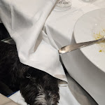 Photo n°9 de l'avis de Nitin.a fait le 22/12/2023 à 20:39 sur le  Hostaria Po à Rome