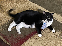 Felden and Felden, P.A. - Photo 2 - Car repair in Jacksonville, NC, Jacksonville