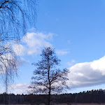 Photo n°5 de l'avis de Lisa.u fait le 20/02/2023 à 10:42 sur le  Seehotel Mühlenhaus à Chorin