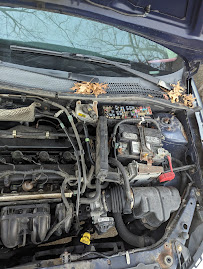 Hassell's Garage - Photo 1 - Car repair in Riverside, RI, Providence