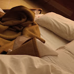 Photo n°1 de l'avis de juee. fait le 03/01/2023 à 19:58 sur le  Cerro Mar Garden à Albufeira