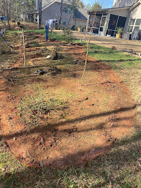 Semper Fi Lawn Care & Landscaping - Photo 8 - Car repair in , Columbus