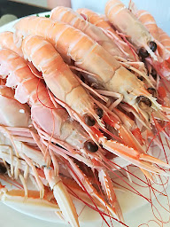 Photo n°142 de Le Vivier à Quiberon ()