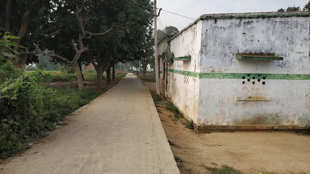 Primary School Sonbarsa