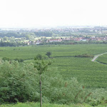 Photo n°2 de l'avis de Diana.i fait le 10/11/2017 à 05:16 sur le  Waldgaststätte Pfalzblick à Ruppertsberg