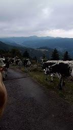 Photo n°39 de Ferme Auberge du Schiessroth à Gaschney ()
