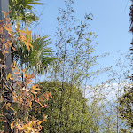 Photo n°5 de l'avis de Elena.a fait le 20/03/2022 à 15:52 sur le  Park Hotel Italy à Cannero Riviera